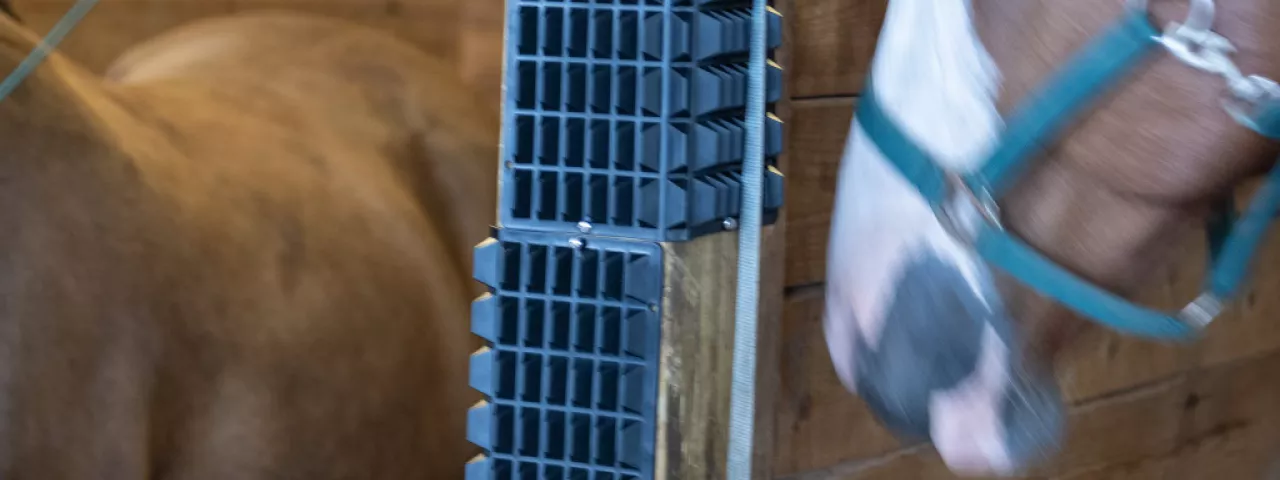 Brand New Right Angle Scratcher