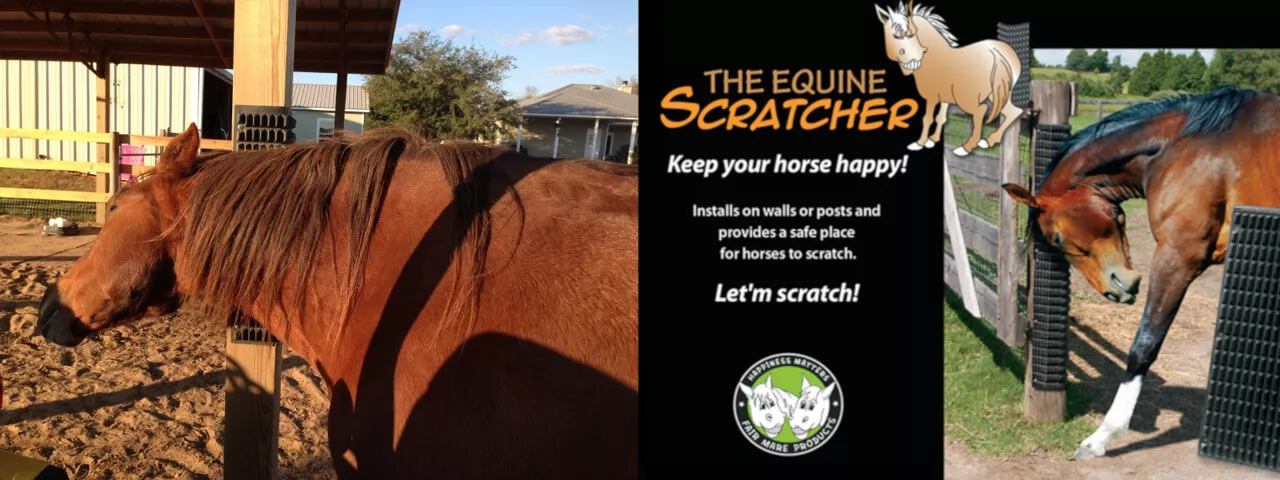The Equine Scratcher